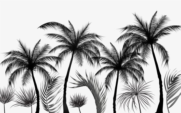 Panoramic Black and White Trees Wallpaper - Second Image